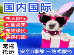 铜仁凤凰航空空运国际宠物托运 【国